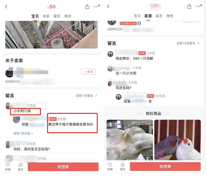 隐秘的角落下架,隐秘的角落动物
