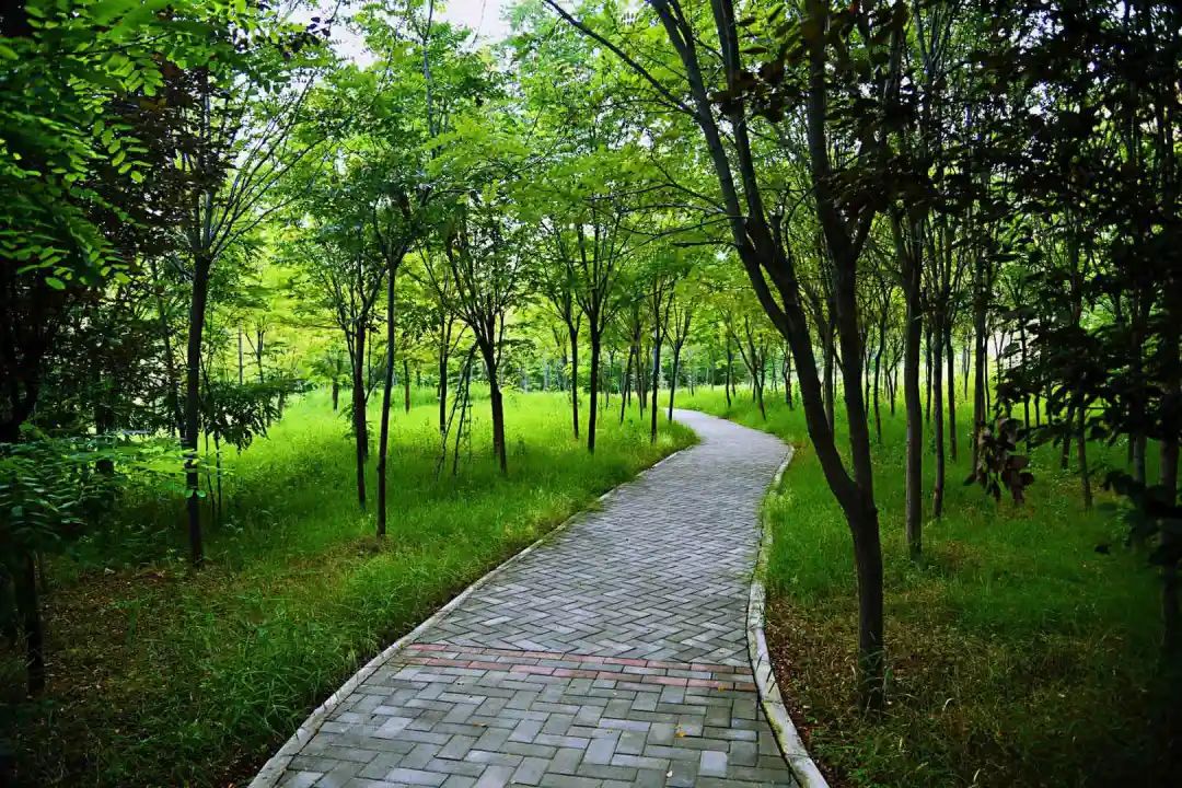 石川河最美风景,石川十美美景图片