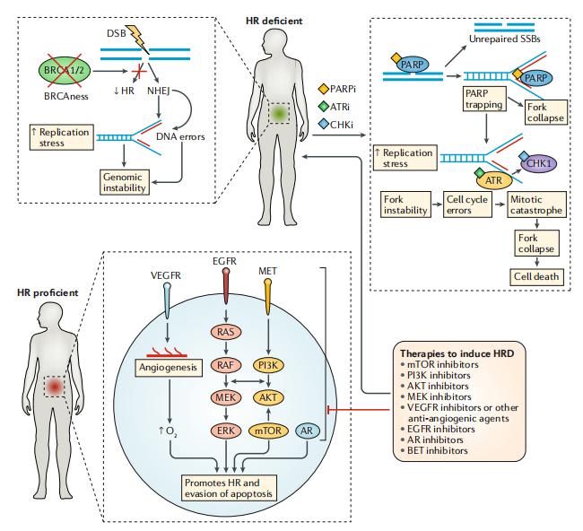 七成卵巢癌3年内复发是真的吗,六成患者确诊时已是中晚期