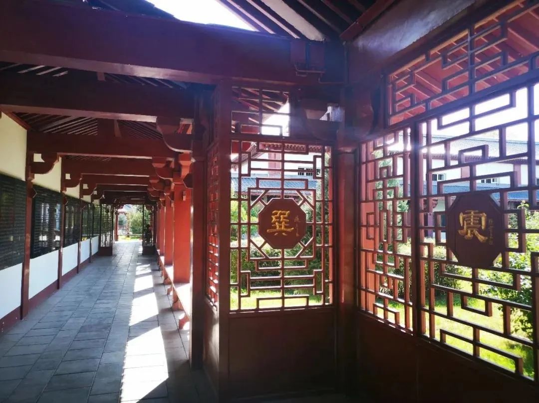 新疆伊犁昭苏油菜花几月开,大美新疆昭苏特克斯油菜花