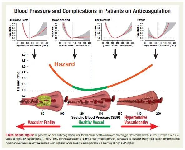 房颤患者的血压应是多少为最佳,房颤的管理和治疗