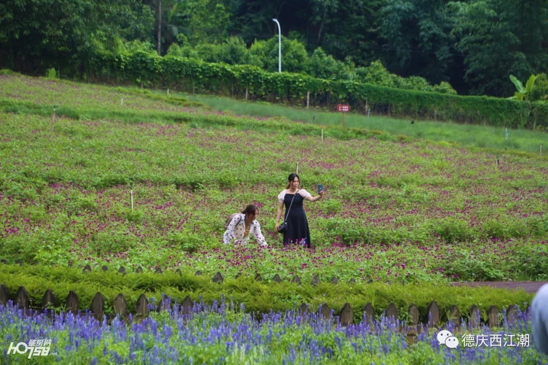 德庆盘龙峡最新视频,德庆县盘龙峡全景图