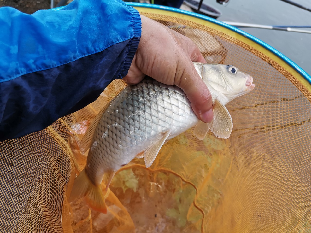灏忓悍鍝ヤ竾宄版箹閽撻奔 (灏忓悍鍝ユ帰閽撲竾宄版箹)
