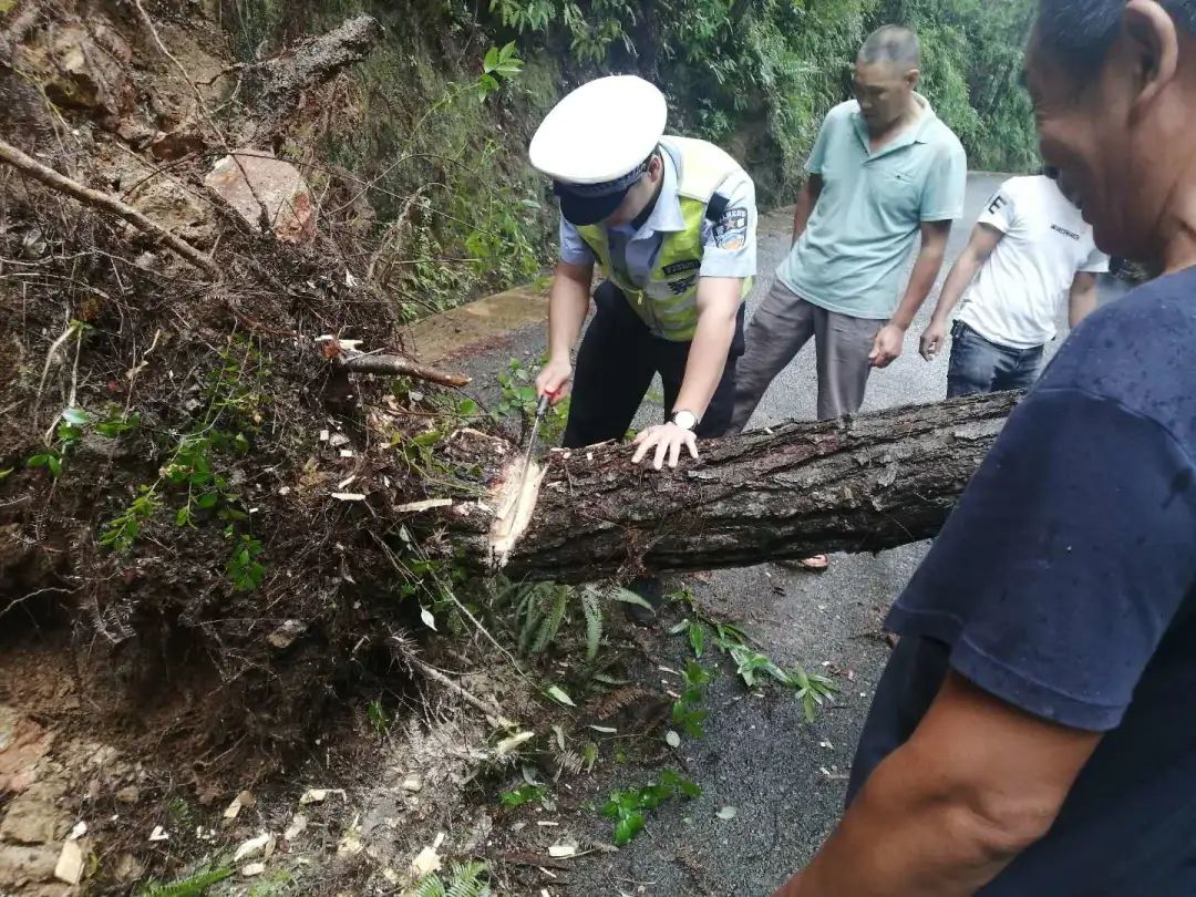 2019年7月20日丽水新闻,丽水新闻快讯