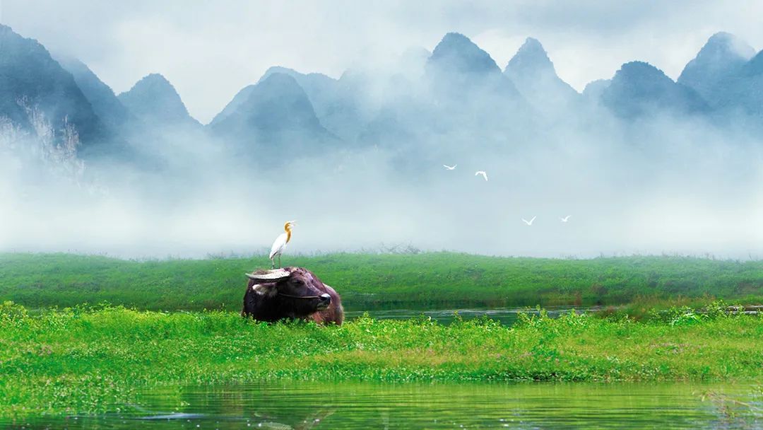 比买一送一还划算，全年不涨价！享山水画里329㎡双卧别墅，玩皮划艇漂流