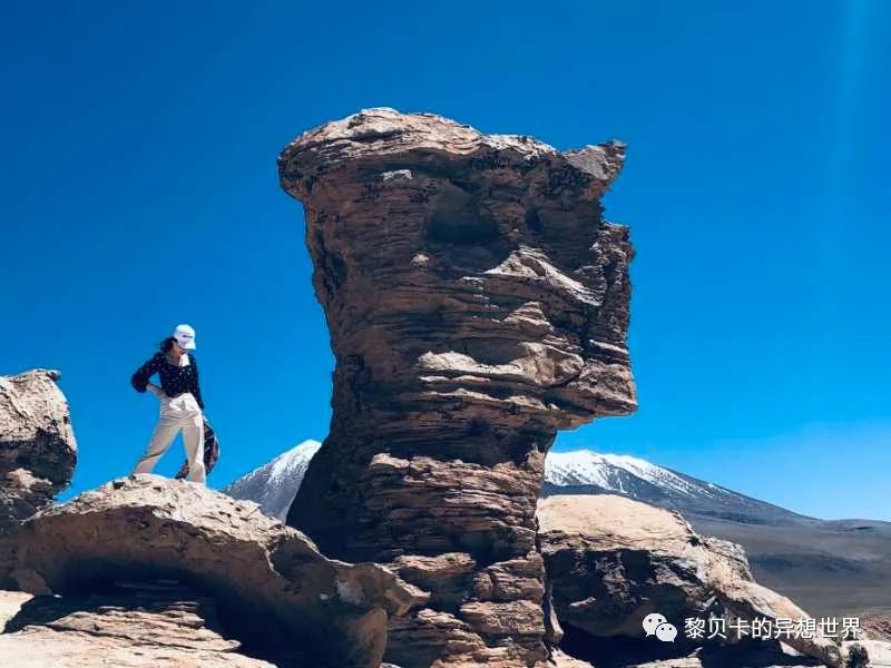 贝壳鞋搭配女生夏天裙子,贝壳分享好物