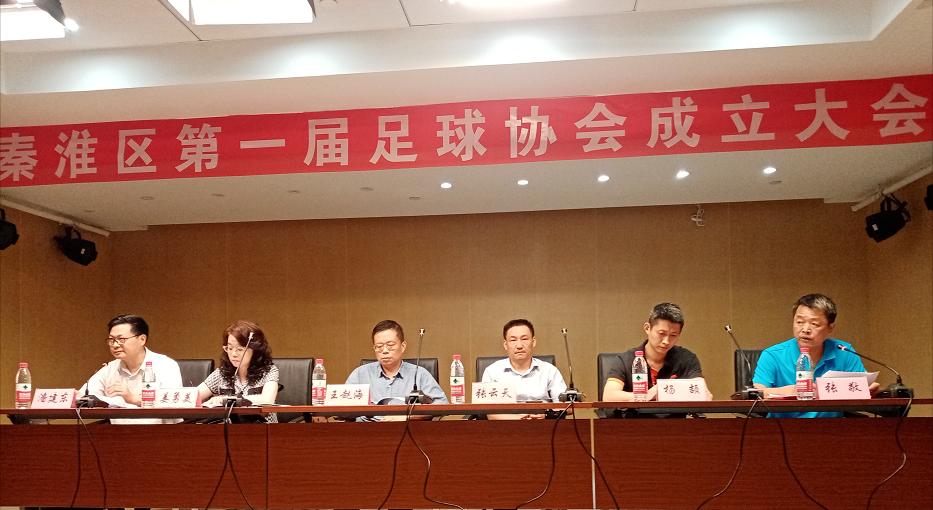 足球体育改革,体育专业协会成立