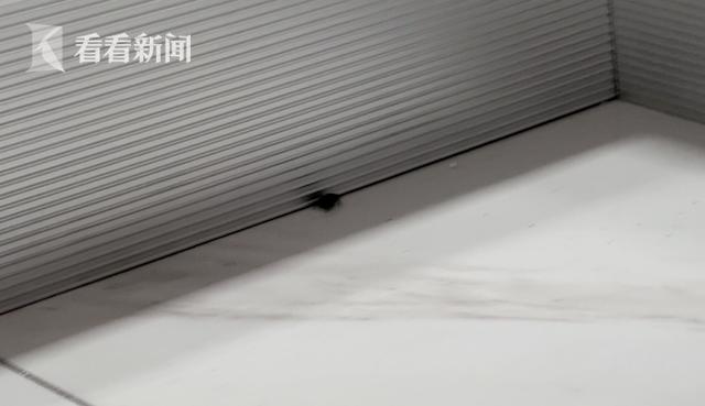 梅雨季臭虫,住在乡下家里臭虫多咋样彻底消灭