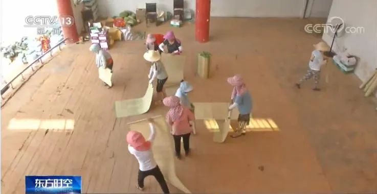 乘风破浪妈妈团,乘风破浪的姐姐妈妈团来袭