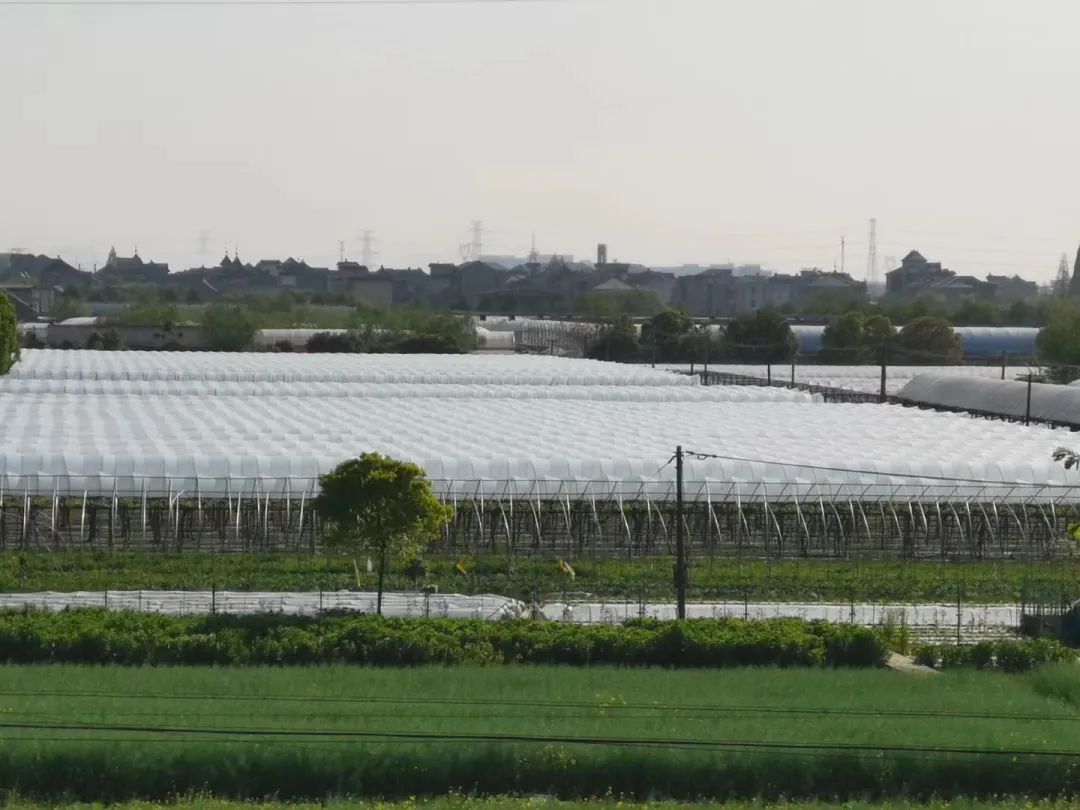 农产品直通车推广,农产品线上线下产销对接活动