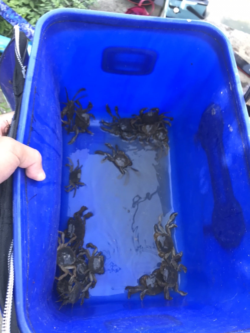 近水楼台先得“鱼”，一不小心成蟹老板