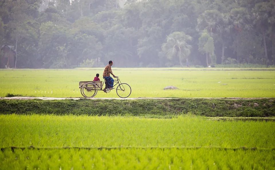 全世界最绿的50张照片