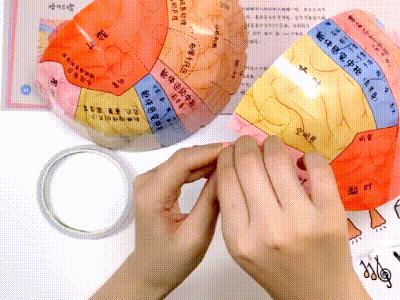 自从入了这个盒子，娃就沉迷于当医生、做手术，完全不理我