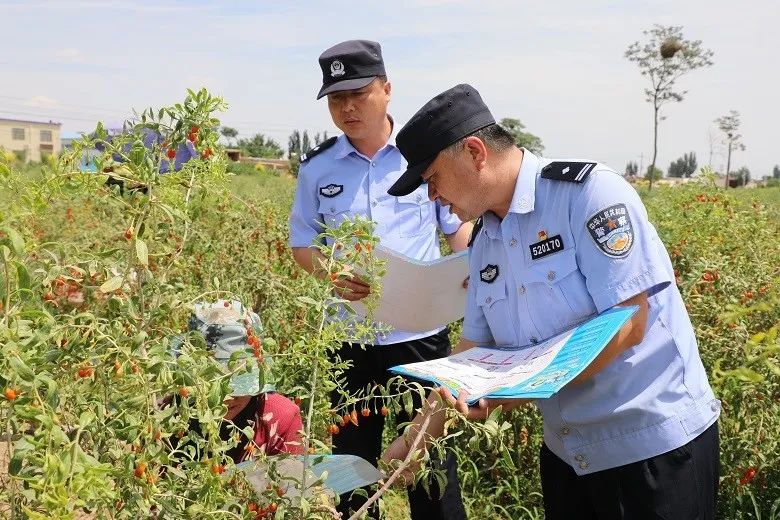 用平安“蓝”守护枸杞“红”