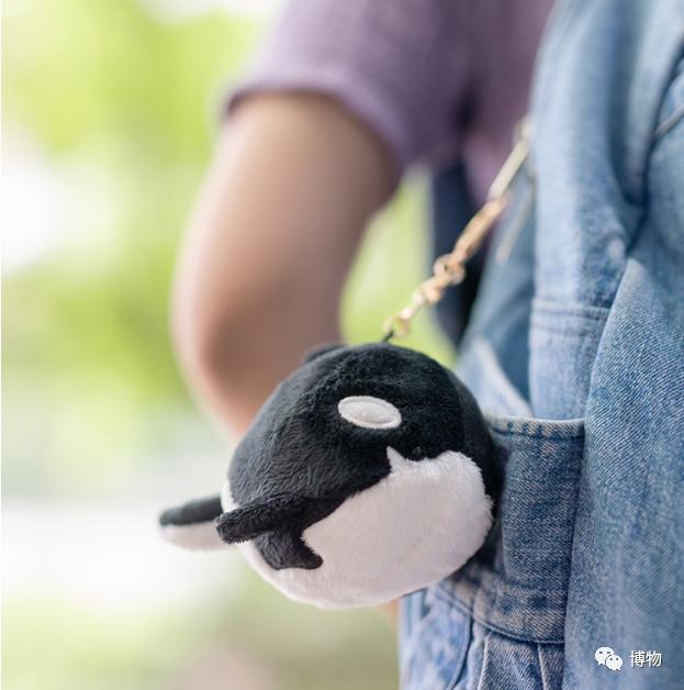 虎鲸炫耀食物,虎鲸饿到亲戚都吃什么