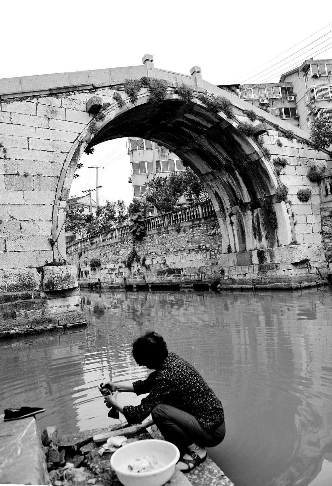 江南大桥邹逸麟,邹逸麟