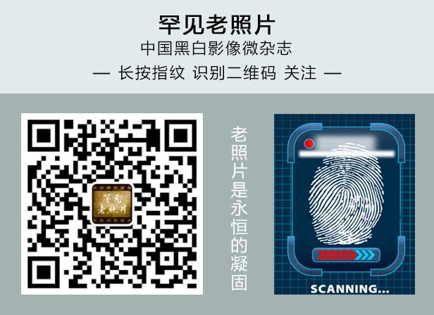 推荐有价值的公众号,比较小众有深度的公众号推荐