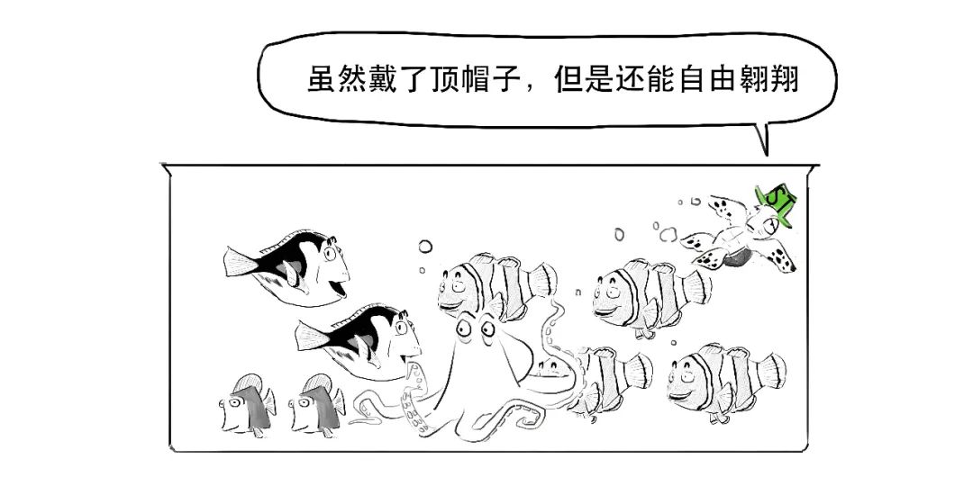 上证指数30分钟结构图解,怎么样才能看懂上证指数