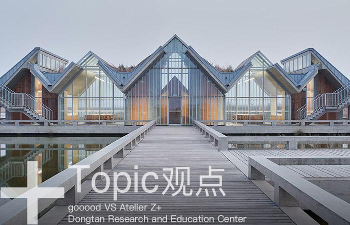 探索崇明东滩湿地公园的奥秘,崇明东滩湿地科研中心