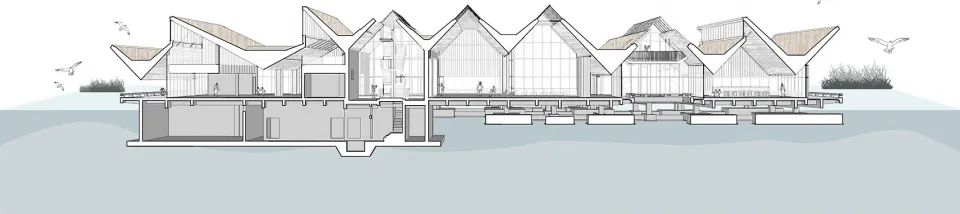 探索崇明东滩湿地公园的奥秘,崇明东滩湿地科研中心