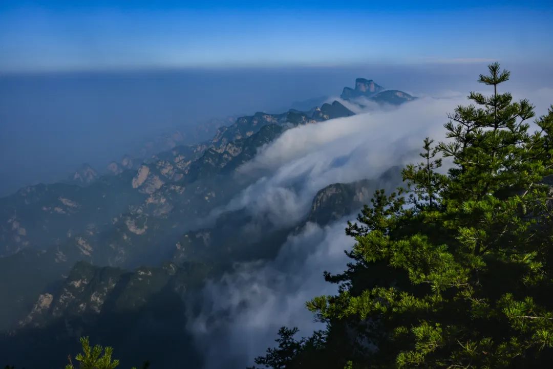 洛阳打卡攻略,洛阳打卡必去的十大景点