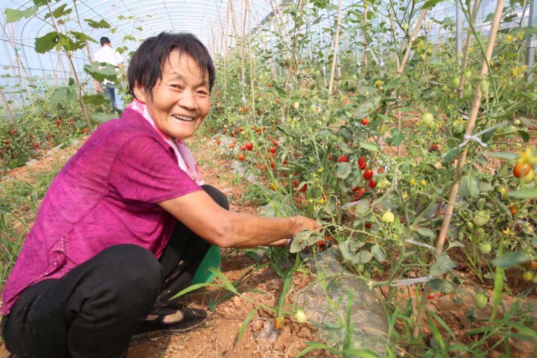 鹤鸣湖边哪个村最好,鹤壁鹤鸣湖周边古村落
