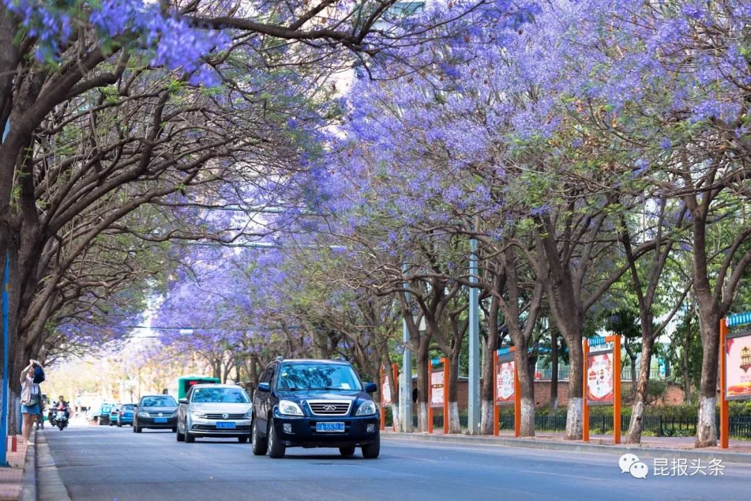 “进度条”来啦！昆明62条道路8月底前完成整治