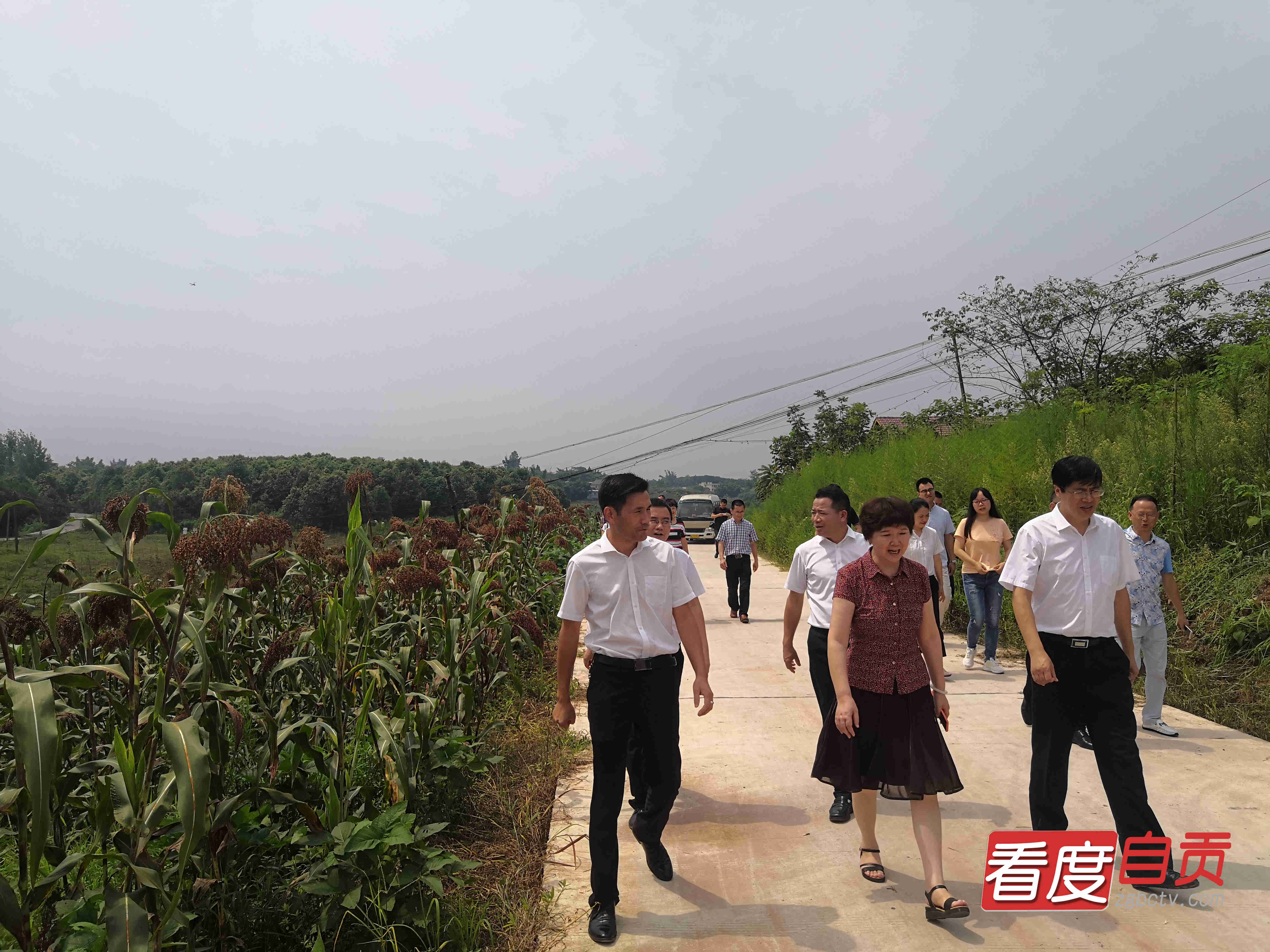 三区协调发展助民增收,三岔镇创新模式助农增收