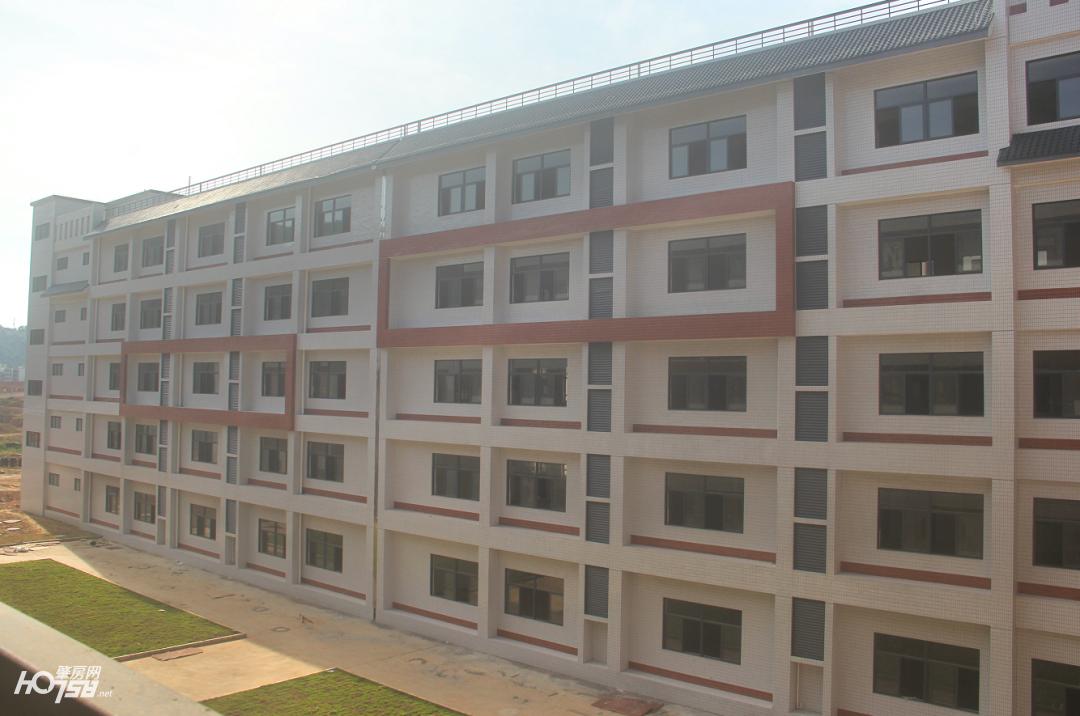 封开县广信中学2020年招多少学生,封开广信中学开学报名