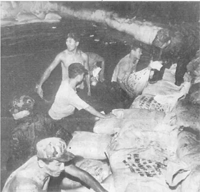 从标准堤塘到“最美跑道”,它是如何成为城市“网红”的?丨30年30问⑥⑦