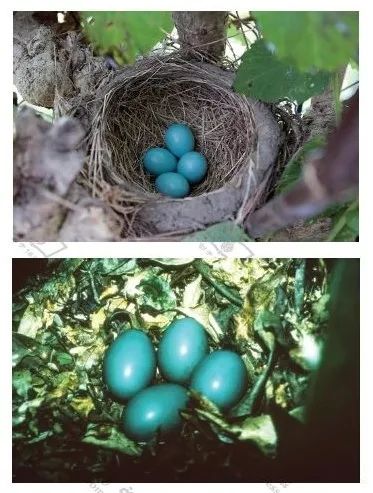 生命自然,自然文库的好书