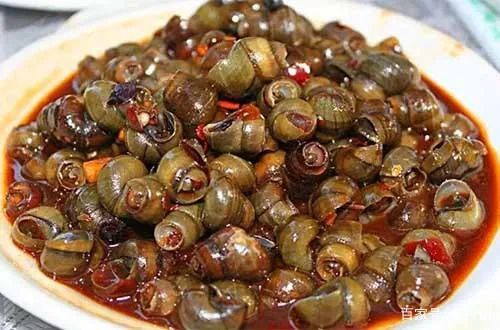 福寿螺不能吃为什么其他螺肉能吃,福寿螺肉质肥美为什么不能吃