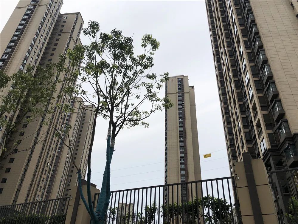 一街之隔房价多少钱一平米,一街之隔房价为何能差出8000元