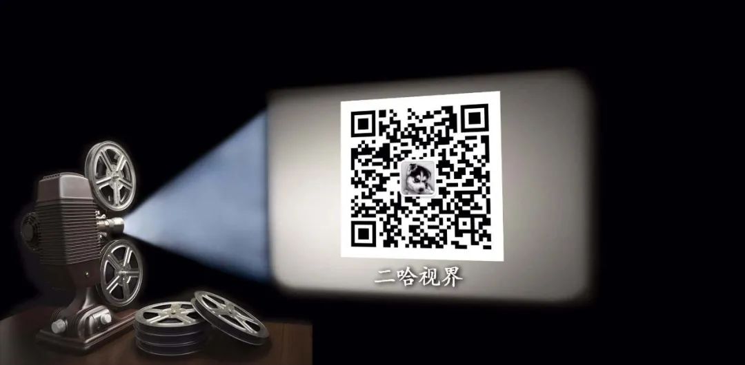 文史大参考公众号,文史青年公众号