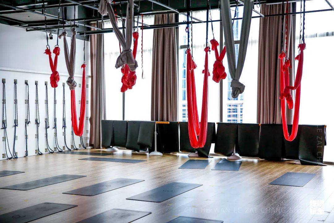 乘风破浪的姐姐们重新出发,乘风破浪的姐姐们要开始重新组团