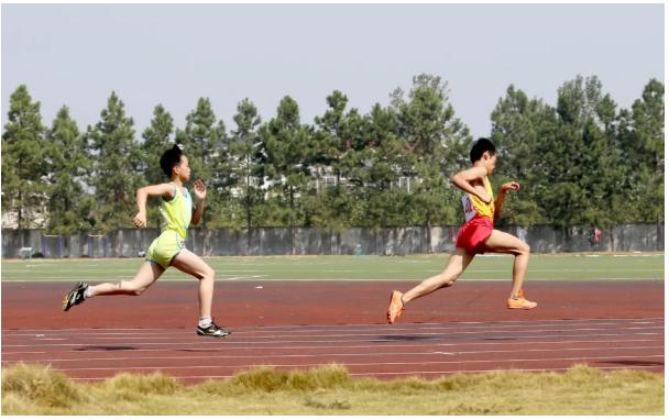 体育强市排名,体育强省排行