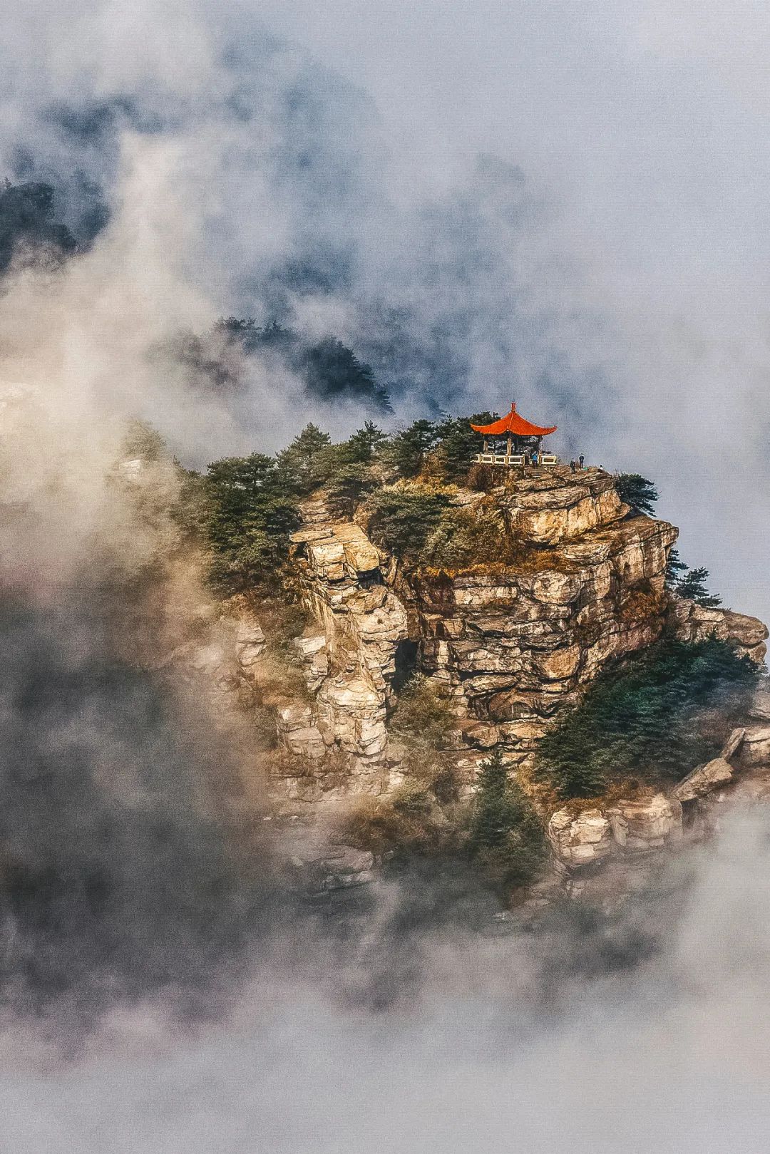 庐山真面目怎么辨别,庐山真面目近义词