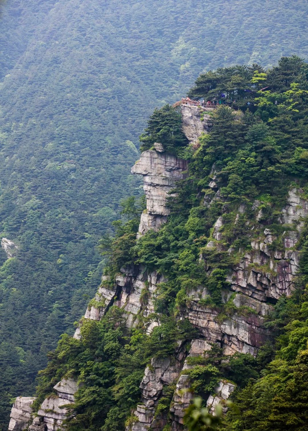 庐山真面目怎么辨别,庐山真面目近义词