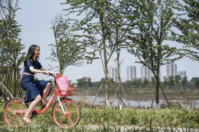 成都景点60岁以上免费门票,成都免费游玩景点推荐