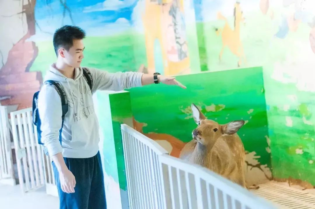 成都景点60岁以上免费门票,成都免费游玩景点推荐