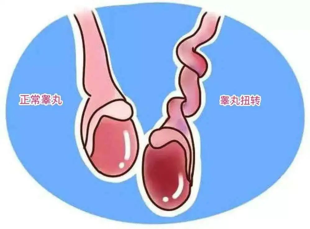 OO疼真的不！能！忍！