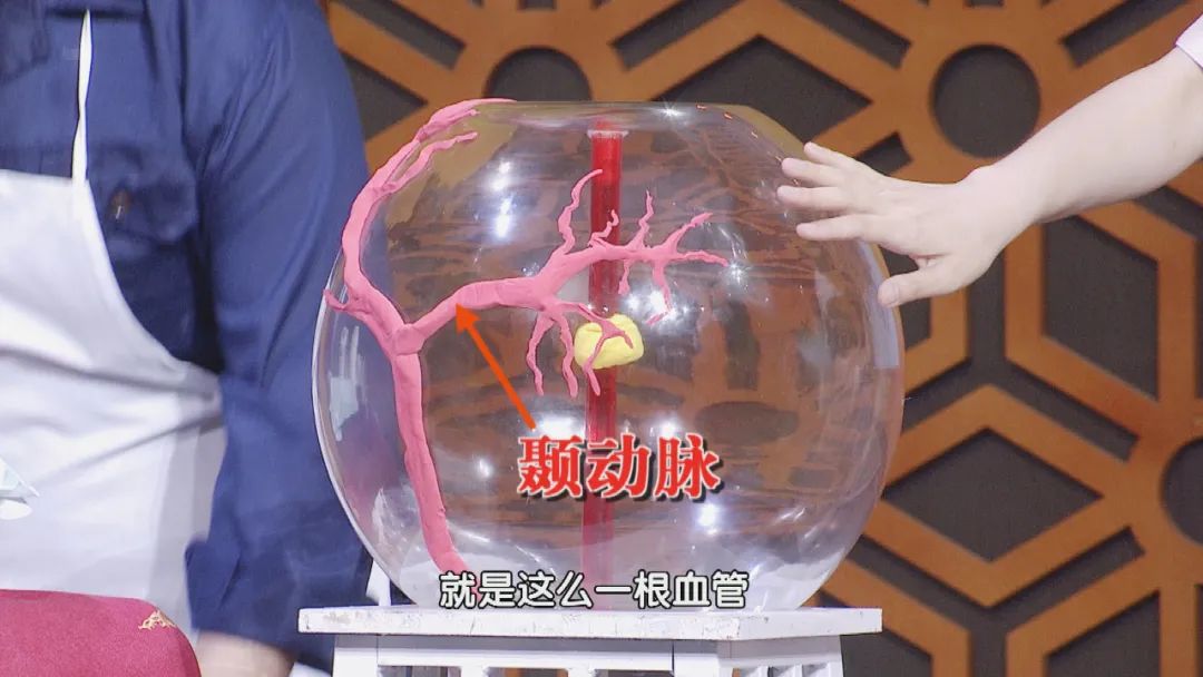 养生堂今日播出视频,养生堂今晚回放的内容