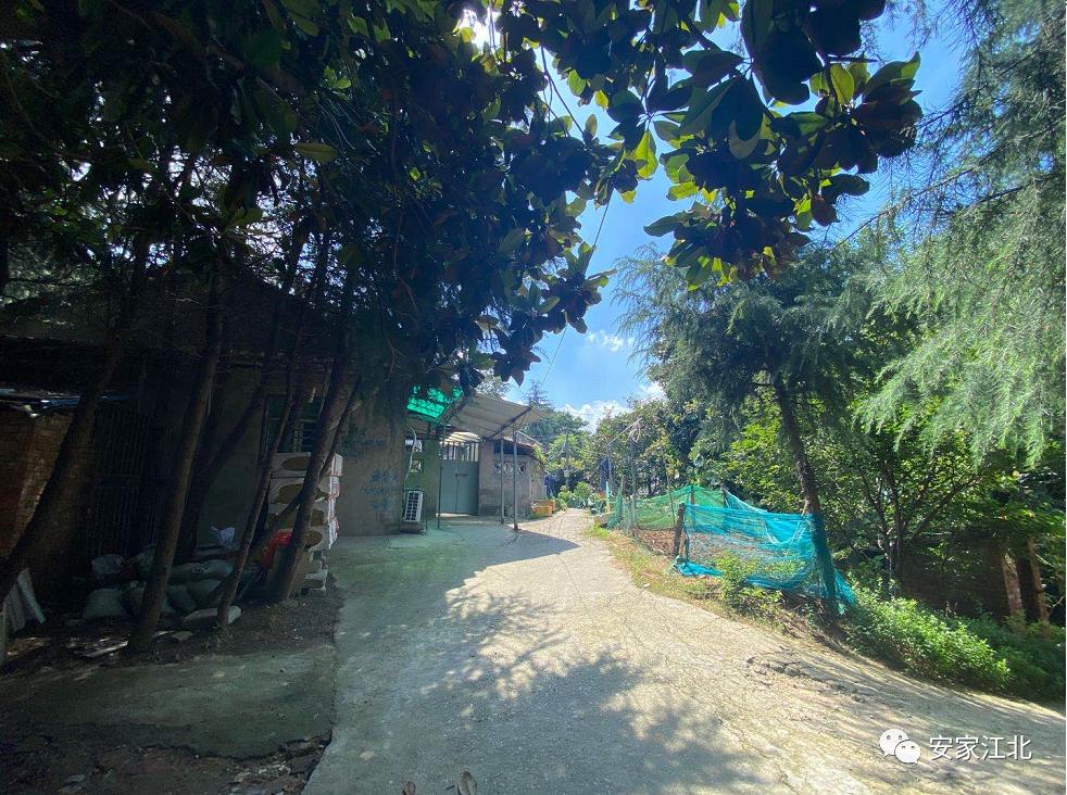 南京安置房排名前十,南京低容积率富人区