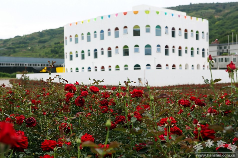 潘石屹养正学堂,潘石屹给甘肃捐过多少学校