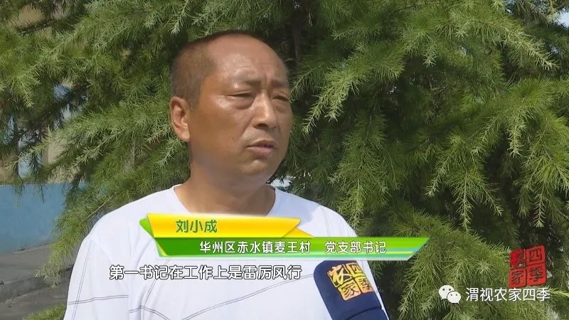 华州区赤水镇麦王村第一书记马信：好执行力炼就工作高标准