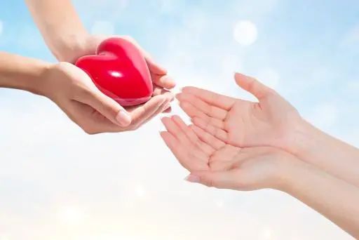 为爱奔跑苏堤晨跑,为爱奔跑英文