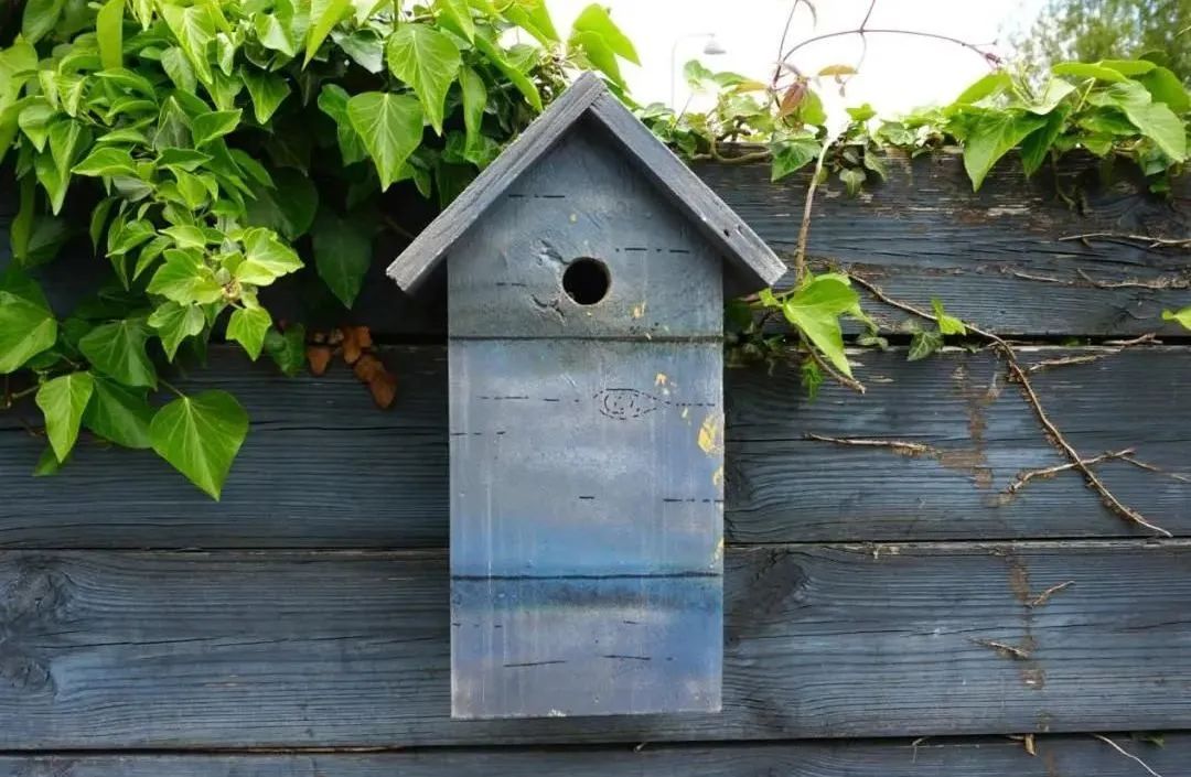 住在森林里的北欧精灵，是怎样变成环保使者的？