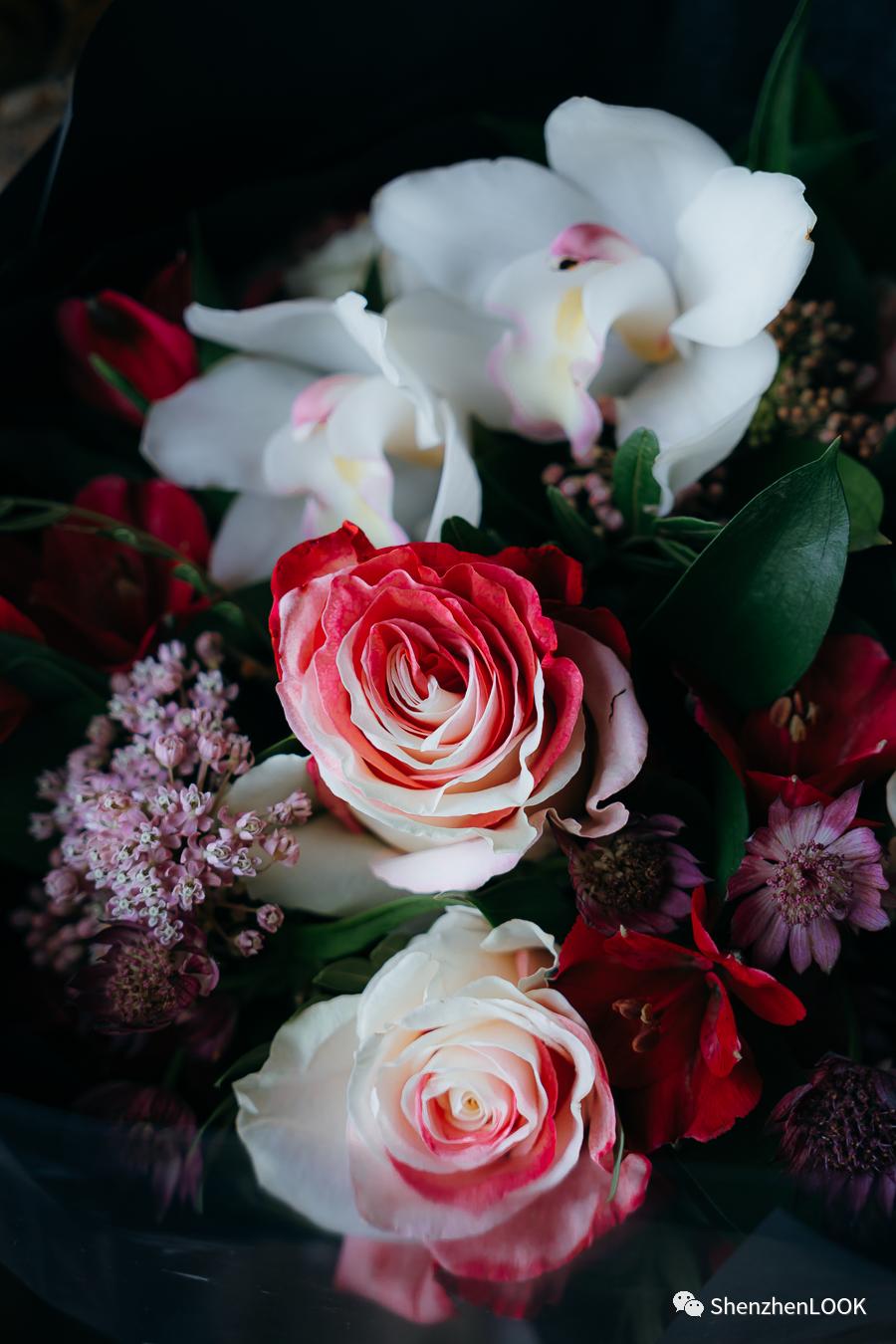 look娣卞湷瀹屾暣瑙嗛,娣卞湷look鑺卞簵