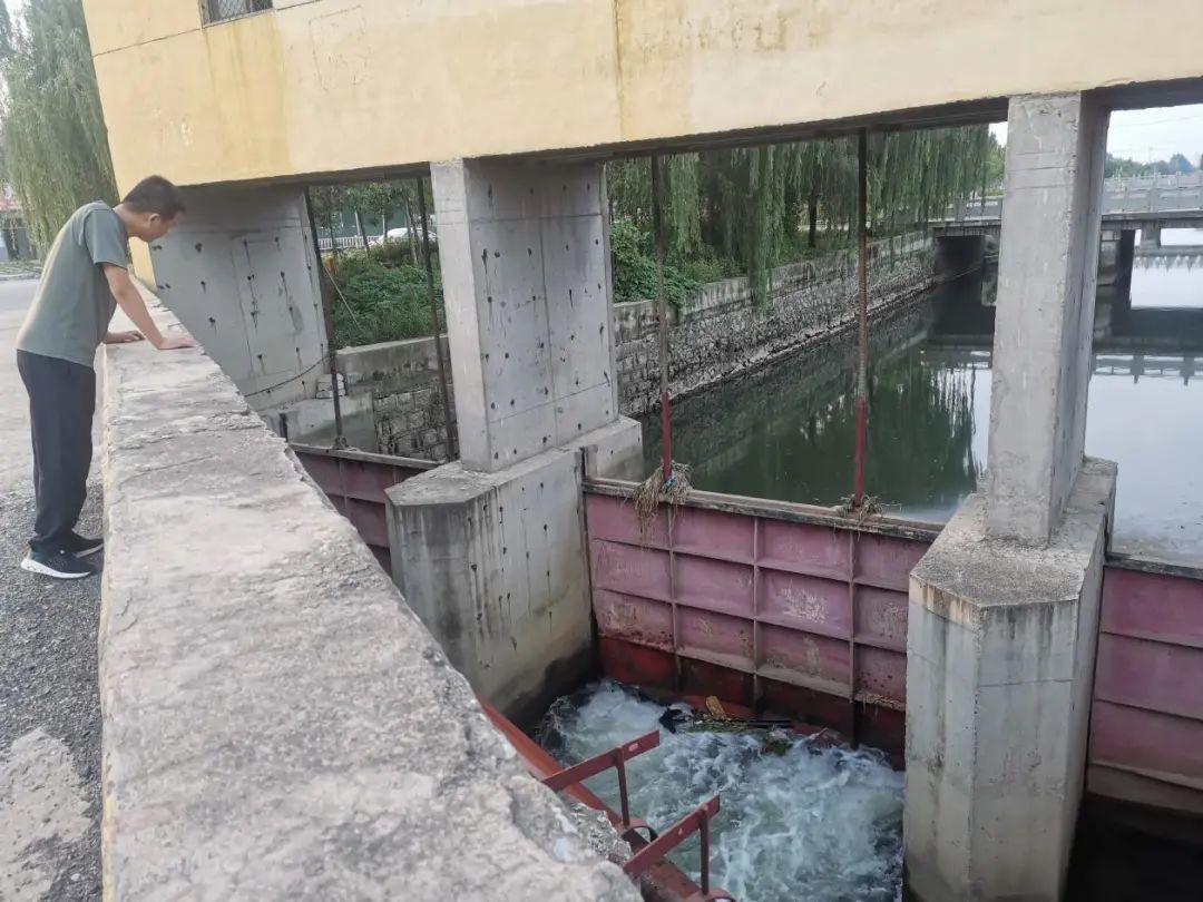 *今条头日**：罗庄