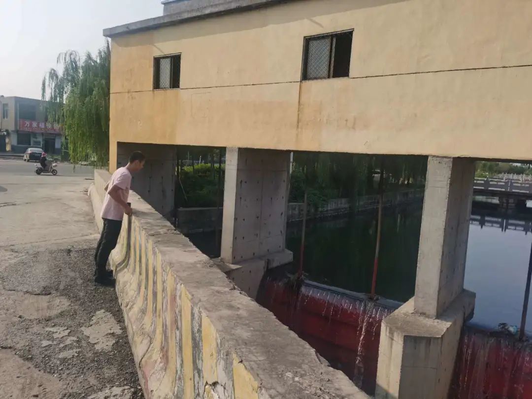 *今条头日**:罗庄